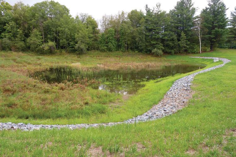 Lower Pond restoration finished