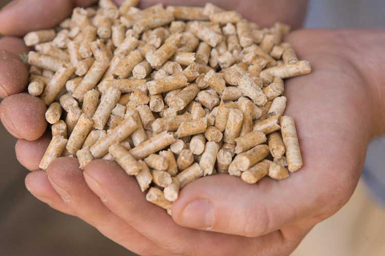 Biomass could save the college big bucks