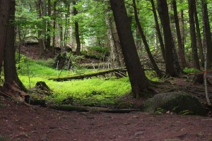 New deal preserves Journey’s End access for future generations