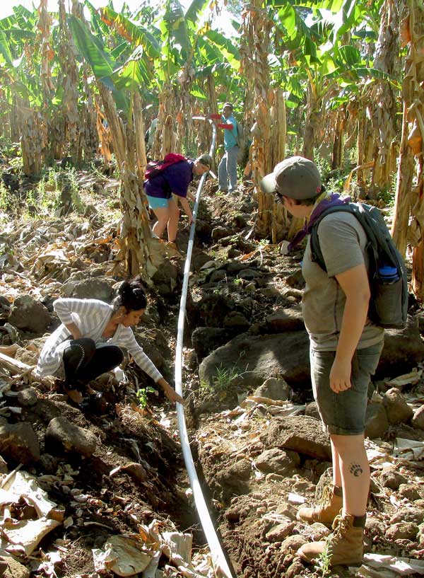 JSC students on February's Badger Alternative Break in Nicaragua lay piping to bring water to a town in Ometepe.