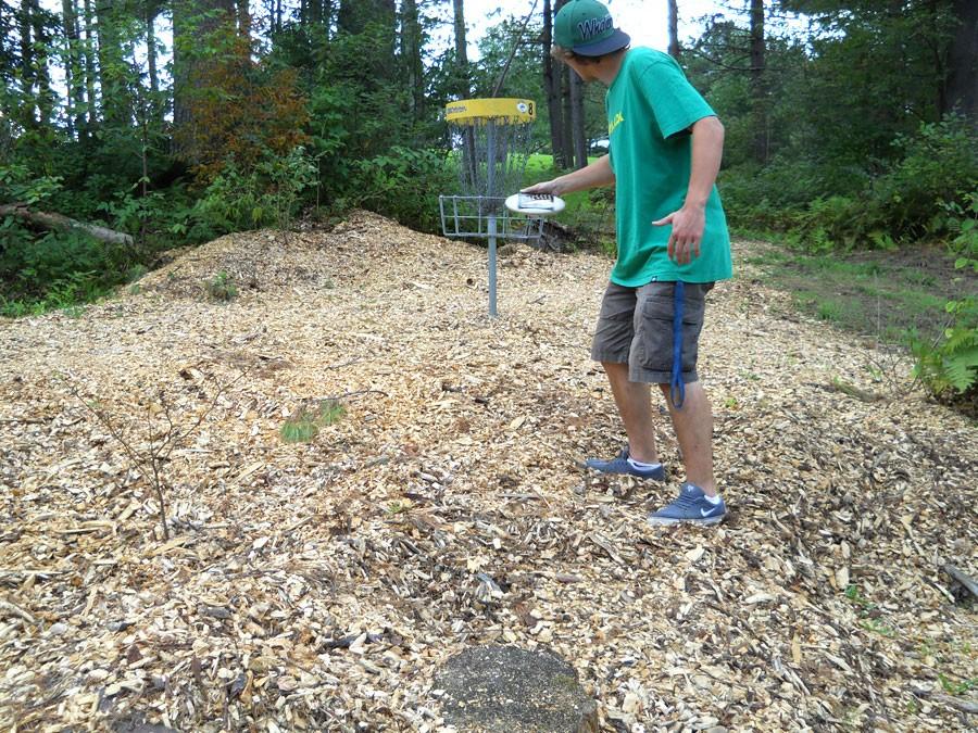 Logging opens forest for next generation