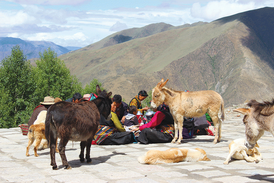 Tibetans sit outside a monastery to eat their lunch, and the animals gather around