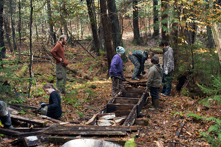 EarthWalkers fixing a bridge