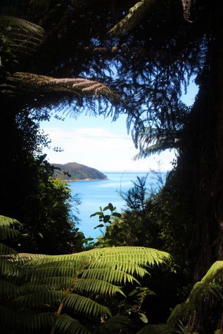 New culture and lost luggage in New Zealand