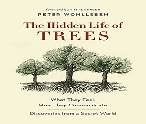 New book explores secrets of trees