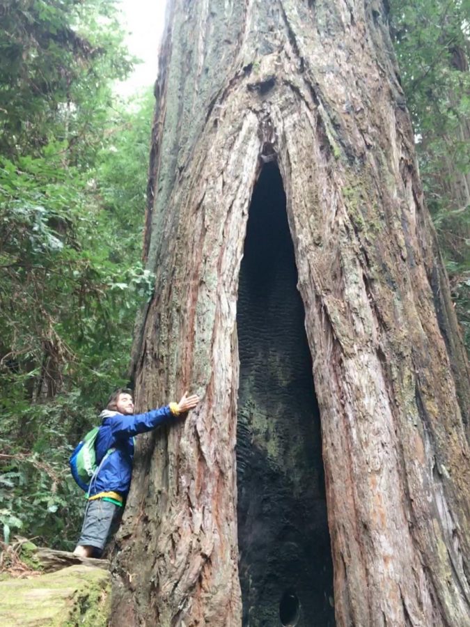 Sean Adler gets it on with Clifford the Redwood