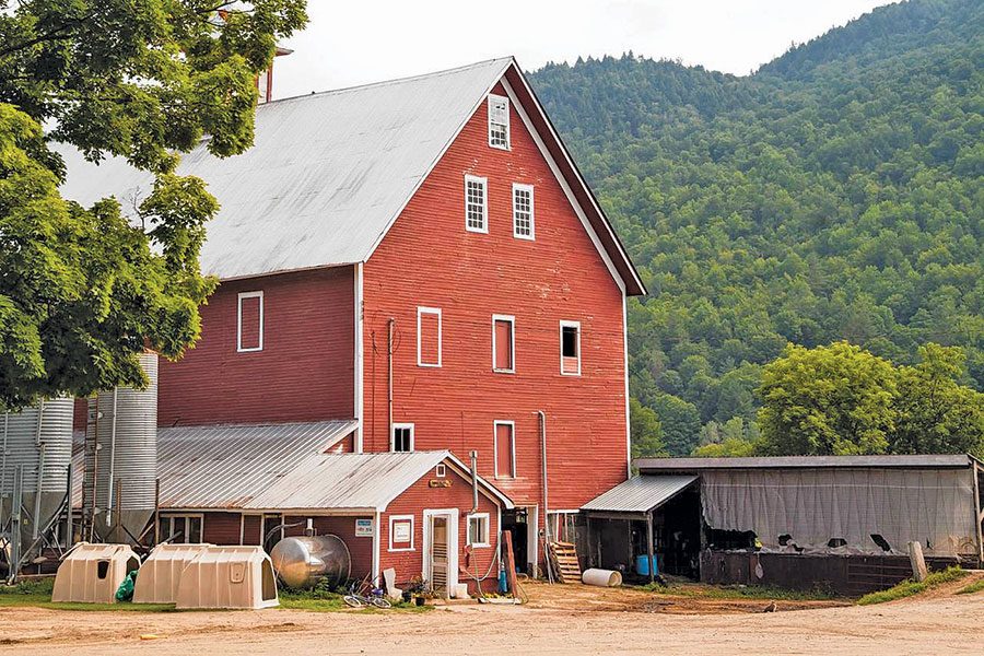 Liberty Hill Dairy Farm