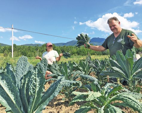 Tisbert fighting for the future of farmers as Vermont Farm Bureau president