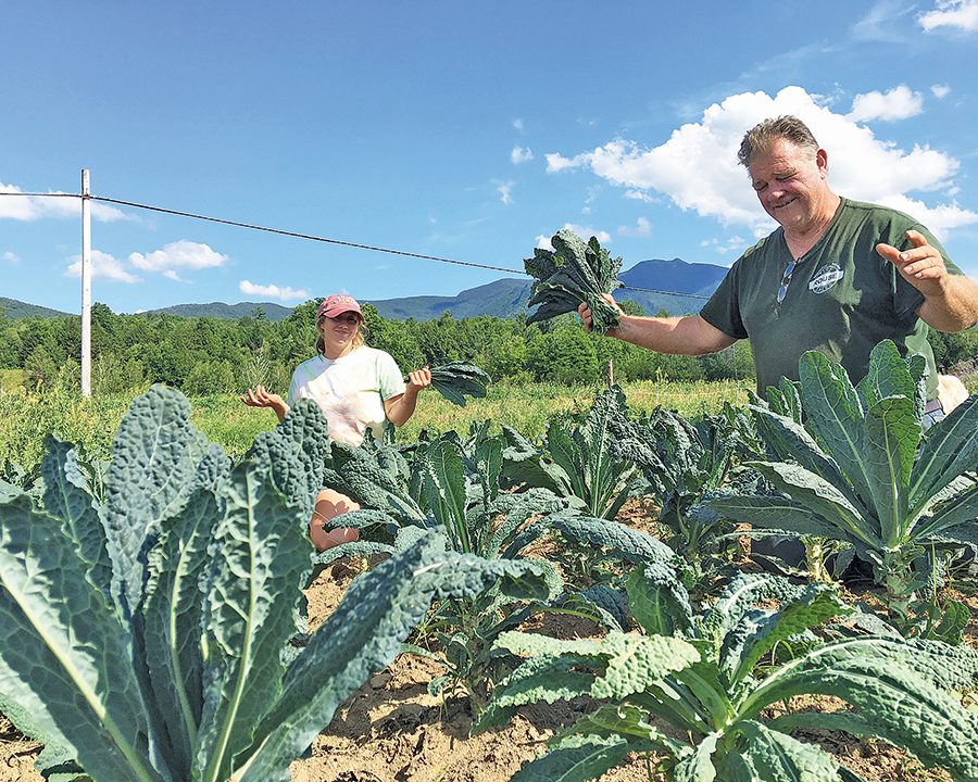 Joe Tisbert and his daughter Becky picking kale