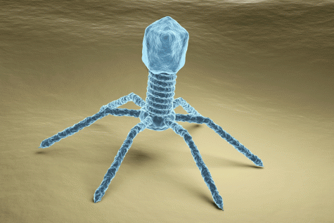 NVU offers precautionary measures for flu season, coronavirus