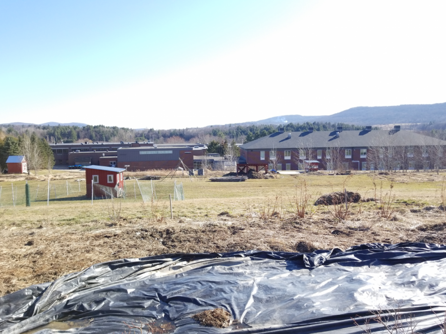 BFA Fairfax school farm still running during COVID-19