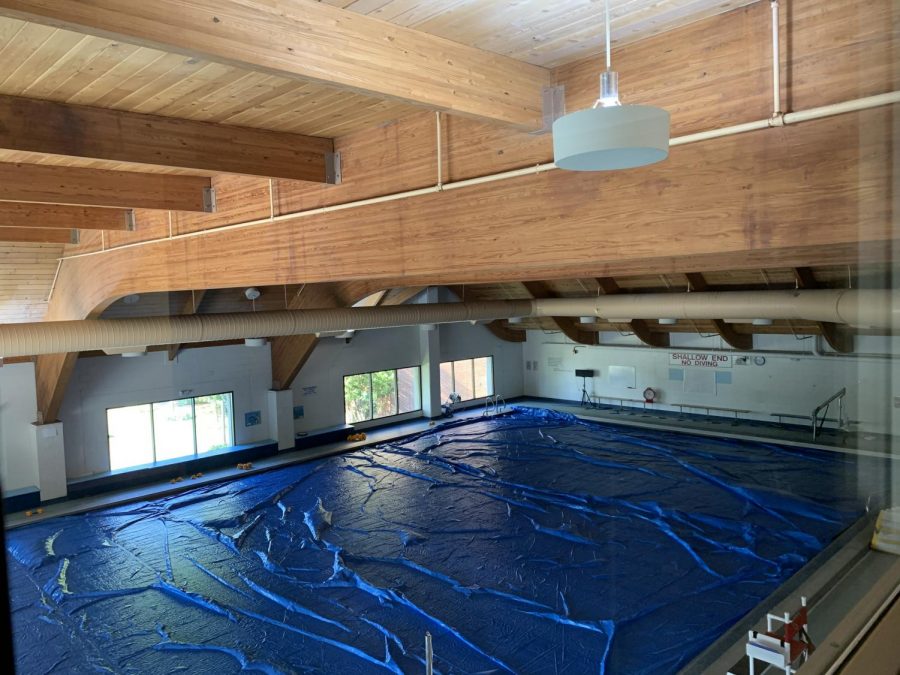 the covered-over pool in SHAPE
