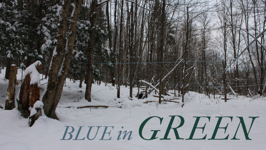 Blue in Green promotional photo