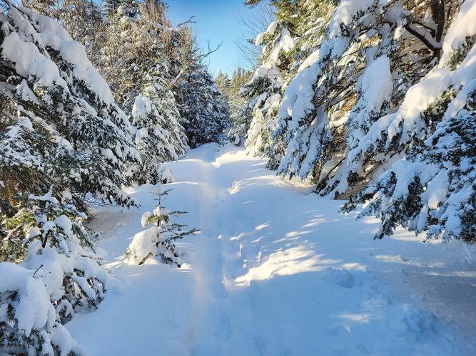 Snuffy’s Trail was formerly an official trail that connected Smugglers’ Notch and Stowe Mountain Resort ski areas.